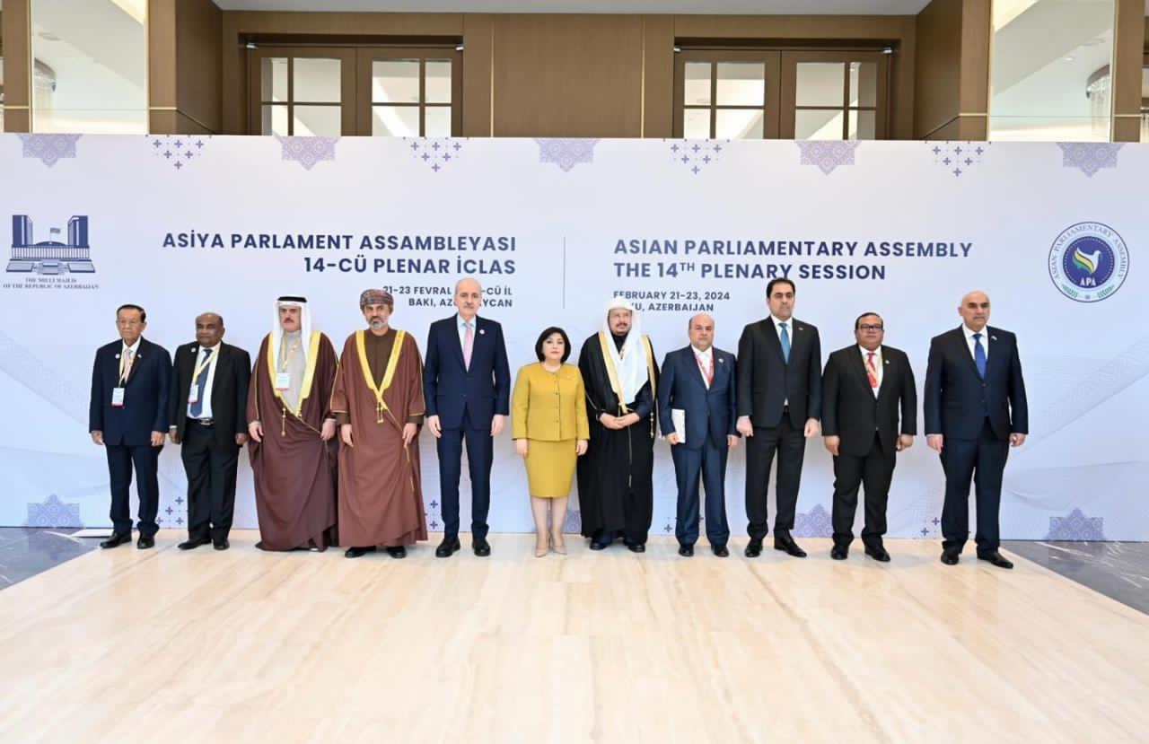14 APA Plenary (Baku 2024)